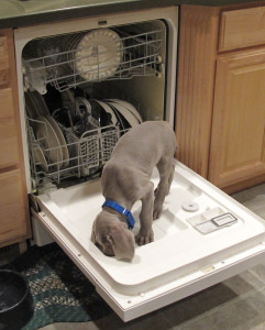 Weim Dishwasher